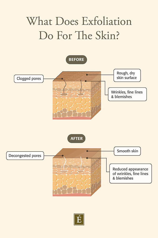 What does exfoliation do for the skin?