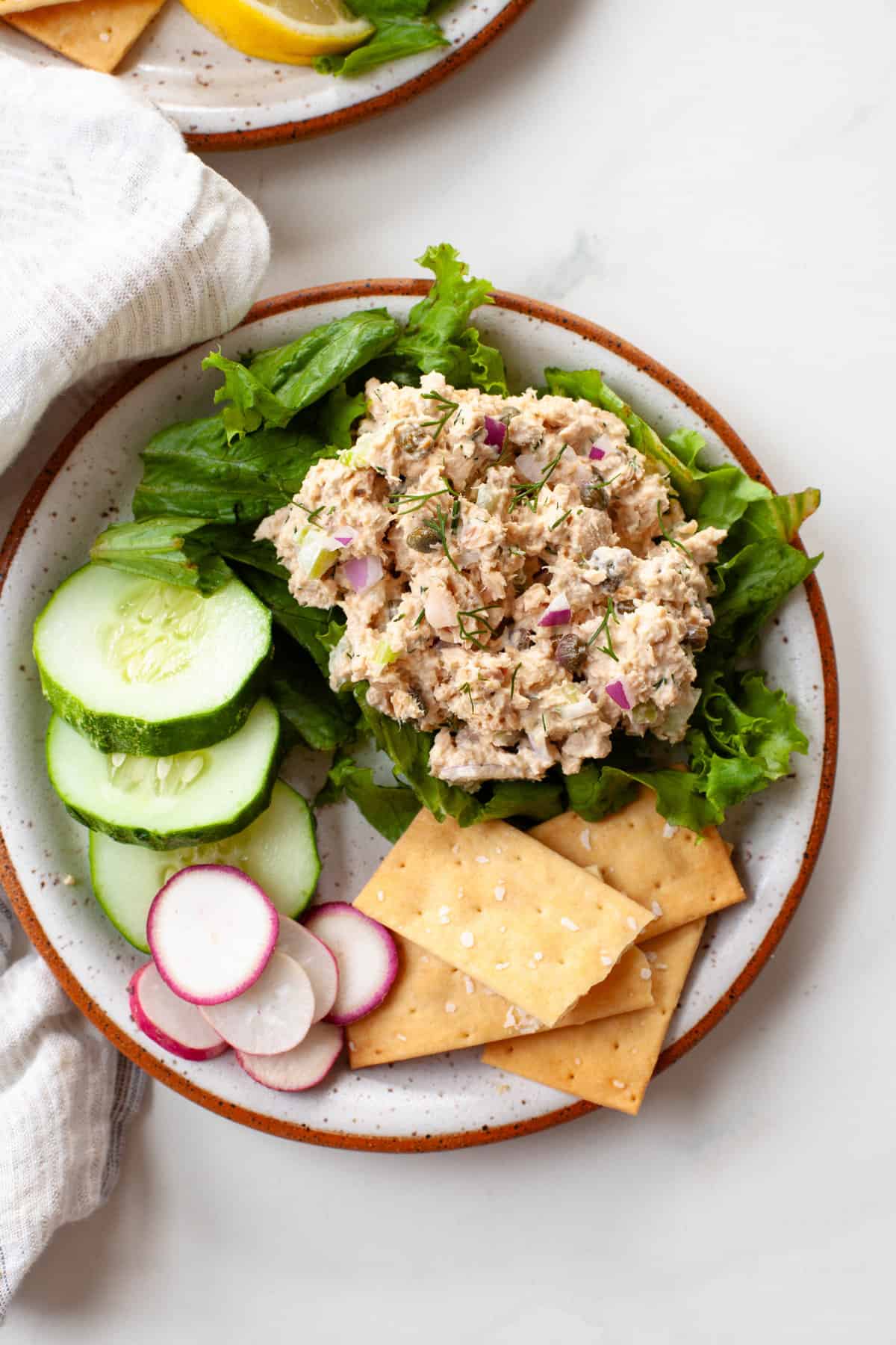 canned salmon salad on bed of lettuce with cucumber, radish, and crackers